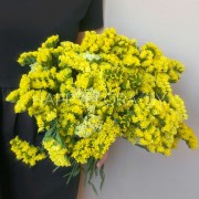 Букет из желтой статицы (15 веток)