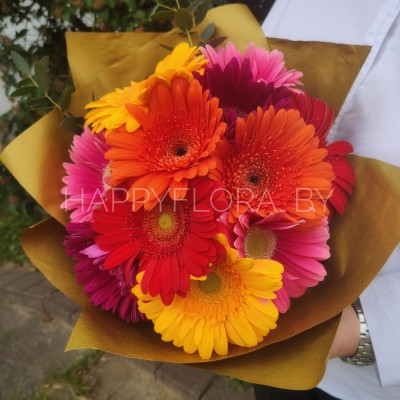 Букет из гербер (9 штук) оранжевый Букет из гербер (9 штук) оранжевый