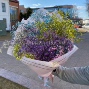 Букет из разноцветной гипсофилы
