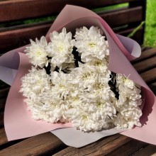 Букет из хризантем (кустовые)